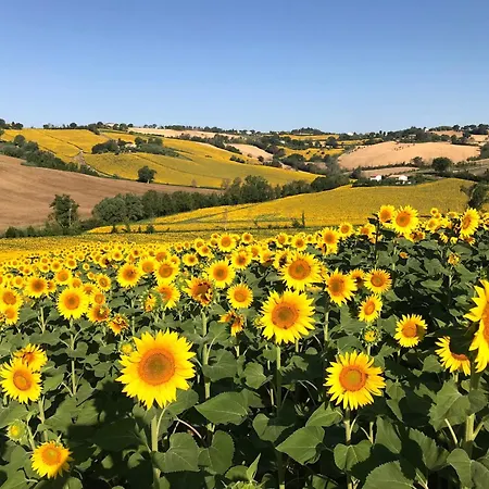 Apartment Relaxing Getaway With A Dreamlike Pool