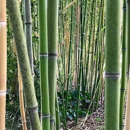 Relaxing Getaway With A Dreamlike Pool