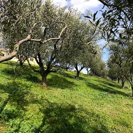 Relaxing Getaway With A Dreamlike Pool