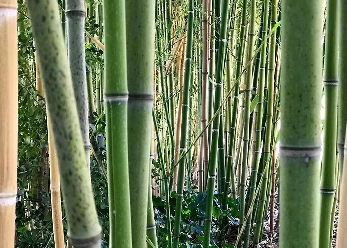 Relaxing Getaway With A Dreamlike Pool