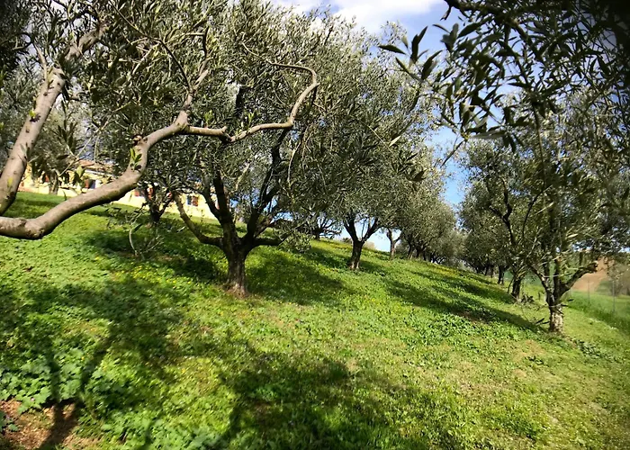 Relaxing Getaway With A Dreamlike Pool
